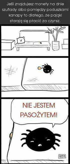 podwyżkę! Byk W pracy możesz zabłysnąć szef dojdzie do wniosku, że pomysły, które zgłaszałeś jakiś czas temu, warto byłoby wreszcie wcielić w życie. W uczuciach stabilnie, ale bez fajerwerków.