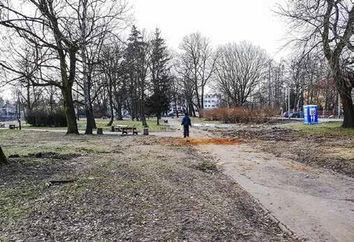 Dopiero potem zapadały decyzje w jakim zakresie przeprowadzić prace pielęgnacyjne lub wycinkowe informuje Urszula Cielniak, naczelnik Wydziału Inwestycji i Modernizacji Urzędu Miejskiego.