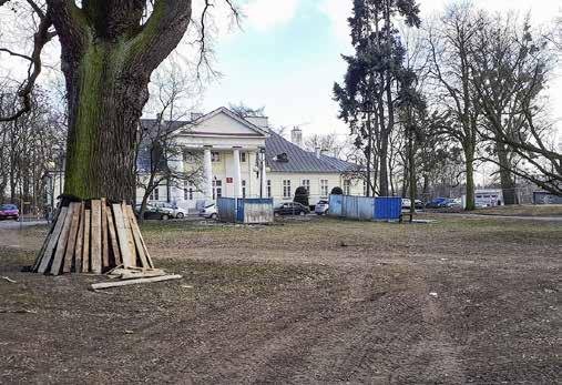 Musimy ustalić, które konary drzew są w stanie wymagającym podcięcia, a które trzeba zostawić.