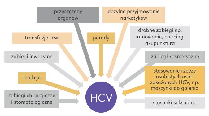 8 L. Sierpińska, Ryzyko zakażenia wirusem HCV w przypadku ekspozycji zawodowej pracy pielęgniarek... przez krew i preparaty krwiopochodne.