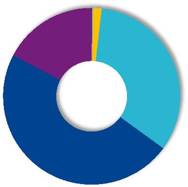 Akcjonariusze wg kraju pochodzenia* Kraje Ogólna liczba akcji Francja 21 972 566 Polska 15 289 270 0,7 1,1 17,3 Francja Polska USA i Kanada 524 427 47,7 USA i Kanada Pozostałe kraje 315 881