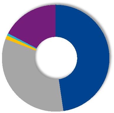 zarejestrowanych akcji Ogólna liczba akcji do 10 000 akcji 25 853 17,3 0,1 0,2 1,5 do 10 000 akcji 10 001-100 000 10 001-100 000 114 896 100 001-1 000 000 699 560 1 000 001-20 000 000 1 399 420 20