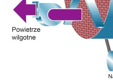 produkcję przez cały rok.
