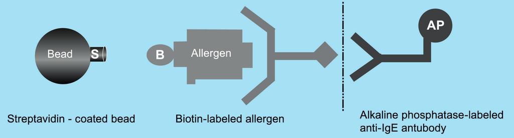Schemat sprzężenia alergenu, ligandu (z układu ligand-antyligand) i nośnika w rozpuszczalny kompleks alergenu diagnostycznego w teście Immulite 2000 3gAllergy, firmy Siemens.