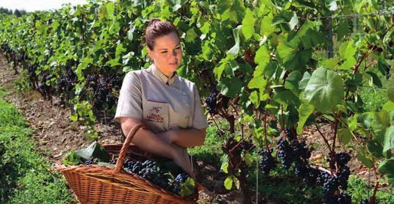 Świętuj w Grape Spa WIECZORY PANIEŃSKIE, URODZINY, SPOTKANIA PRZYJACIÓŁEK Każda okazja jest dobra, by spotkać się w Grape Spa.