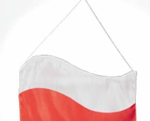 Na podstawie projektu Proporczyk