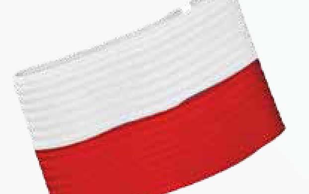 Austrii i