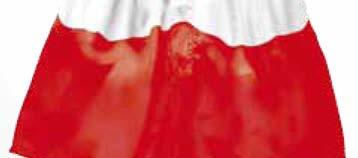 dostępny w