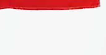 00 Sztuk