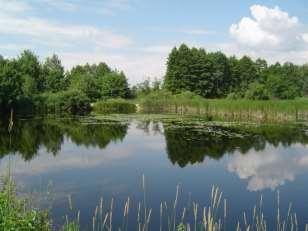 Atrakcje regionu lubelskiego Atrakcyjne zbiorniki