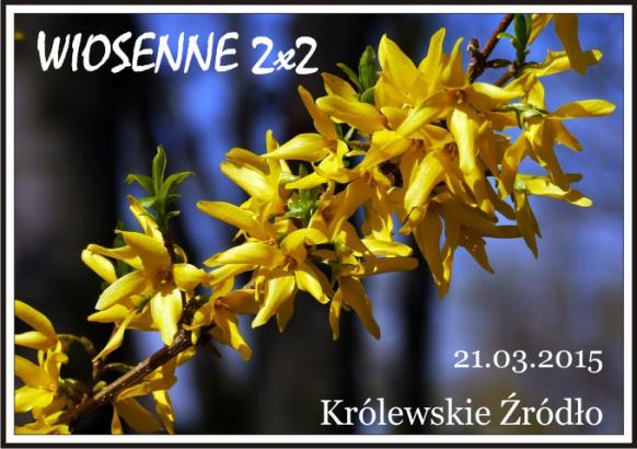 Wiosenne 2x2 Królewskie Źródła 205 PROTOKÓŁ. CEL Poznanie piękna i walorów krajoznawczo-turystycznych Puszczy Kozienickiej. Popularyzacja turystycznych Imprez na Orientację (InO).