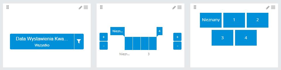 5.3.7 Filtr globalny Element filtru globalnego jest odpowiedzialny za zawężanie analizowanych danych we wszystkich elementach, które w swojej definicji mają w polu Filtr zastosowany ten sam wymiar,