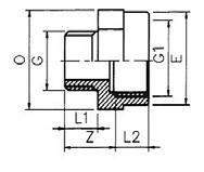 Kształtki do połączeń gwintowanych Redukcja MGE GZ x GW G x G1 SYMBOL L1 L2 Z O E PN x ½ 1110494 11 15 22 30 28 16 ½ x ¾ 1110495 15 16 24 36 34 16 ¾ x 1
