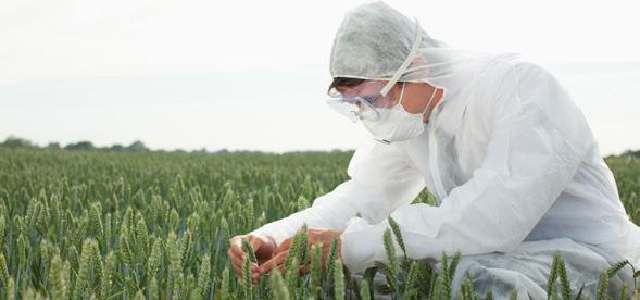 PORADNIK WYMAGAŃ DOTYCZĄCYCH DOSTAWCÓW I PRODUCENTÓW ZEWNĘTRZNYCH CARGILL, WERSJA 3.