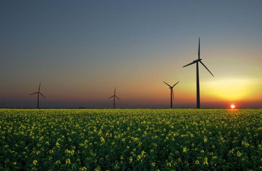 ODNAWIALNE ŹRÓDŁA ENERGII Czyli nie podgalające zużyciu, np.