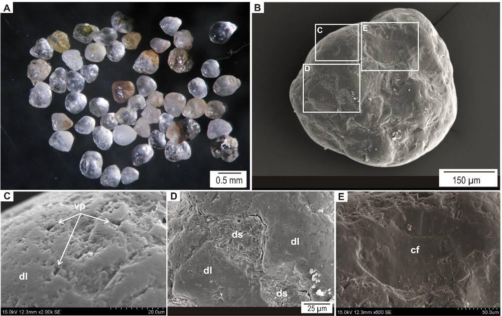 można znaleźć pojedyncze przełamy muszlowe (conchoidal fractures) (Fig.