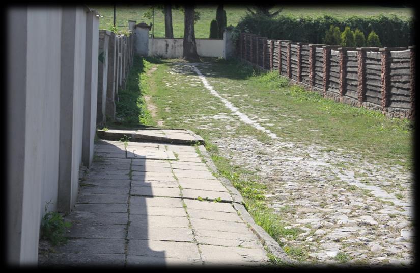 Zdjęcie 14