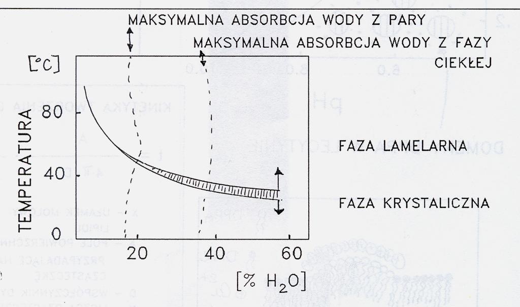 Przejścia