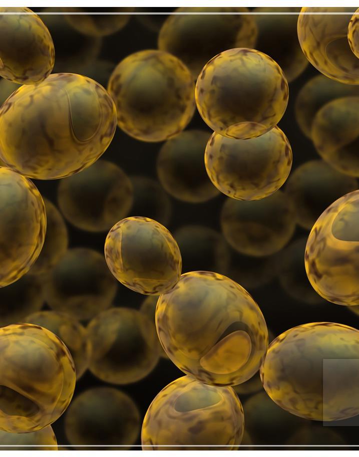 Drożdże piwne Drożdże piwne (Saccharomyces cerevisiae) to grzyby jednokomórkowe, można je znaleźć w warunkach naturalnych w środowiskach, w których obecne są cukry.