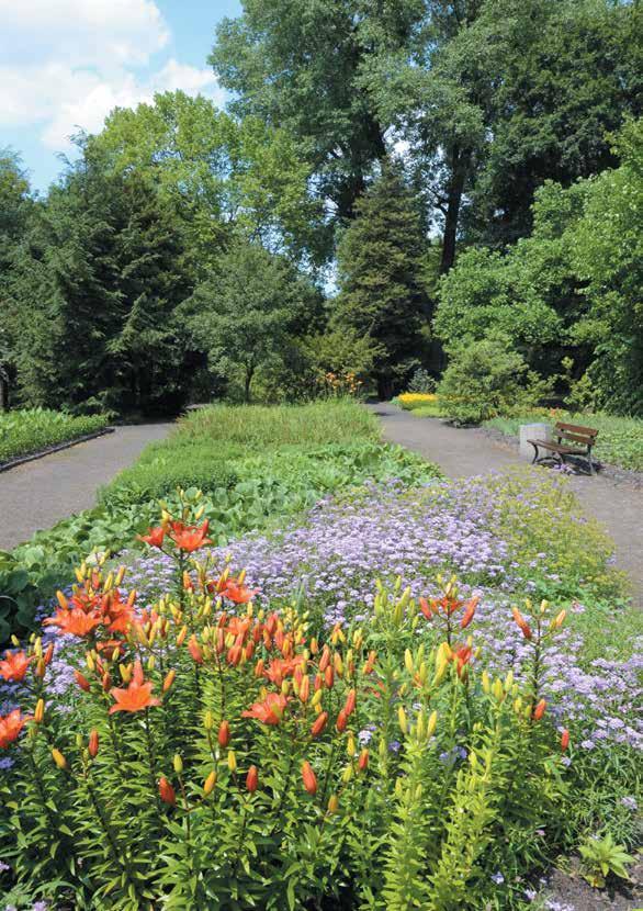 Miejski Ogród Botaniczny w Zabrzu obchodzi w tym