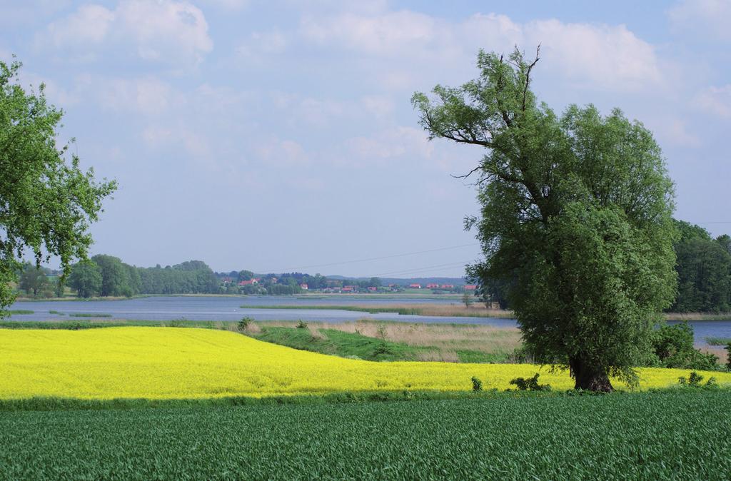 Broszura jest próbą omówienia przepisów wprowadzonych nową ustawą Prawo wodne (Dz. U. 2017 poz. 1566).