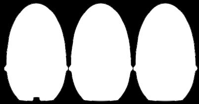 Wysuwany