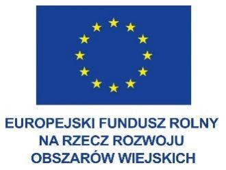 Zakup dofinansowany ze środków Unii Europejskiej w ramach: Europejskiego Funduszu Społecznego Regionalny Program Operacyjny Województwa Warmińsko-Mazurskiego na lata 2014-2020 Pomoc Techniczna Zakup