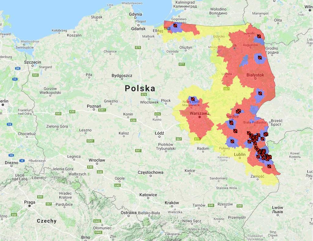 Current situation in pigs The number of the outbreaks of ASF since