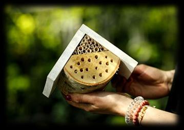 co pszczoły produkują miód wie czy miód jest najcenniejszym darem jaki zawdzięczamy pszczołom wyjaśnia czy wszystkie