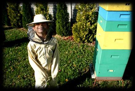 stanie gdy zabraknie pszczół poznaje tajniki pracy pszczelarza Pomoce dydaktyczne: strój pszczelarza, stroje