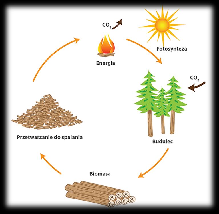 Kotły na biomasę Kocioł na biomasę zapewnia niskie koszty ogrzewania Biomasa stałe lub ciekłe substancje pochodzenia roślinnego lub zwierzęcego, które ulegają biodegradacji,