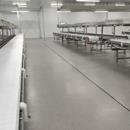 Odporna jest na działanie rozmaitych, agresywnie działających substancji