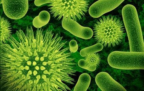SYTUACJA EPIDEMIOLOGICZNA WYBRANYCH CHORÓB ZAKAŹNYCH zaburzenia w realizacji programu szczepień na terenie byłego Związku Radzieckiego spowodowały nawrót wielu chorób nie tylko w krajach byłego