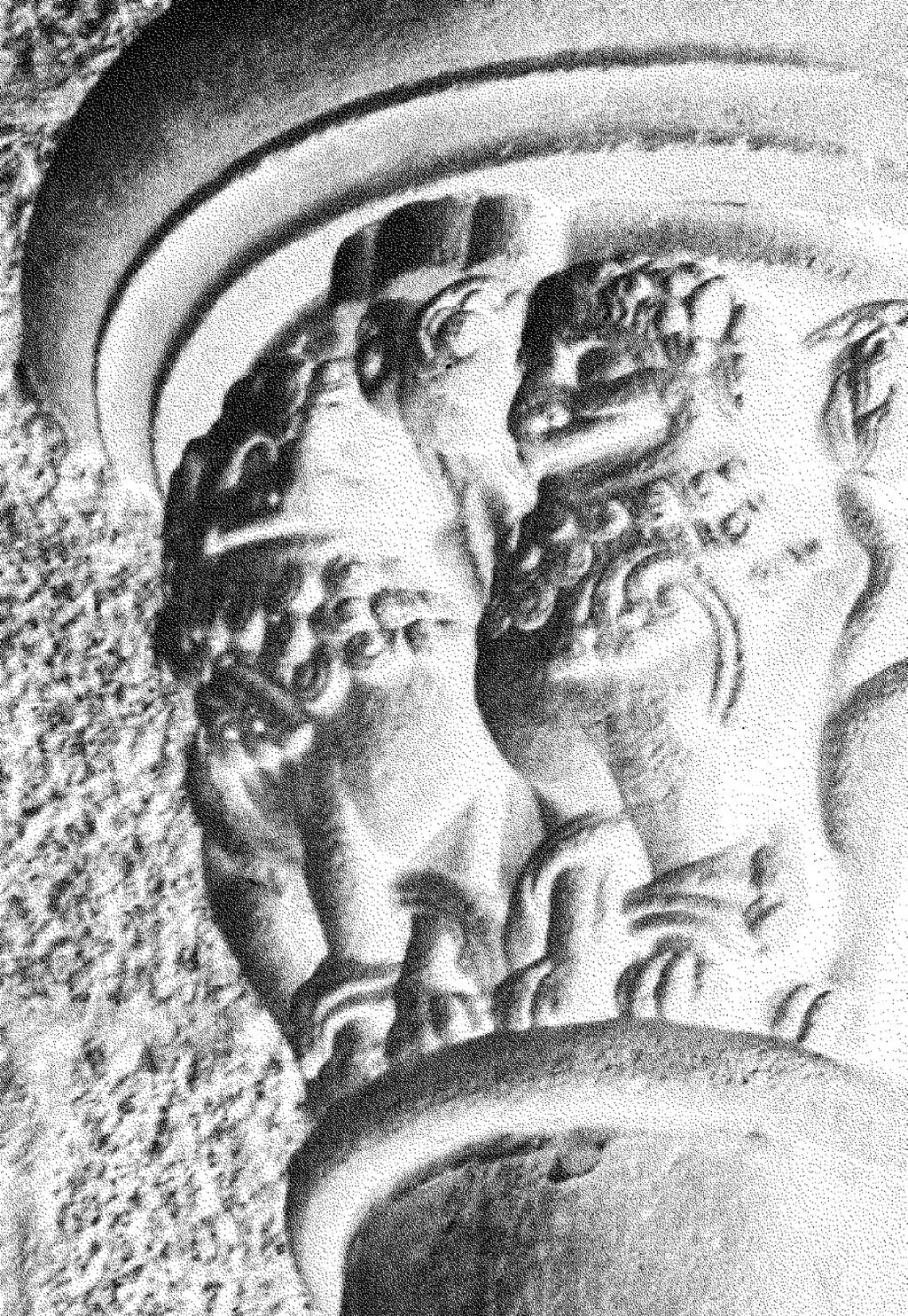 coraz większą rolę odgrywają jej współczesne subdyscypliny, takie jak antropologia obrazu, widowisk, komunikacji, doświadczenia czy wreszcie wyobraźni.
