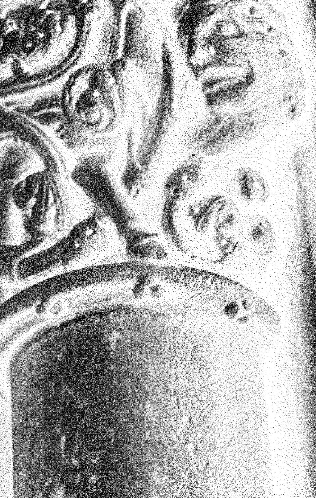 Antropologia wyobraźni umożliwia zrozumienie, w jaki sposób kształtują się kulturowe wizje i marzenia.