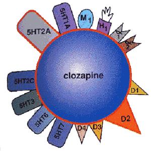 Klozapina 1. Najbardziej atypowy z leków przeciwpsychotycznych II generacji 2. Najmniejsze ryzyko objawów pozapiramidowych 3. Największe ryzyko progu drgawkowego 4.