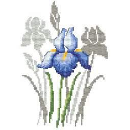 Wiosenne kwiaty Tulipany