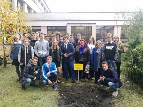 Ogólnopolska Zbiórka Żywności Tak, pomagam",,,pola