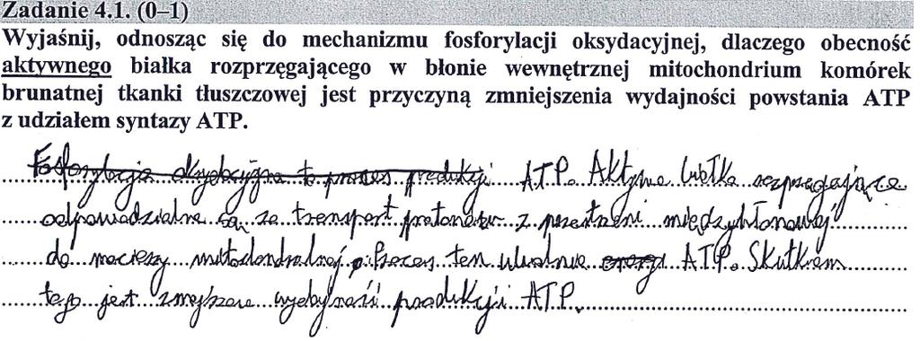 Biologia 29 We wszystkich żywych komórkach łatwo dostępna energia pochodząca z rozkładu związków organicznych jest przejściowo gromadzona głównie w ATP (adenozynotrifosforanie) ważnym związku