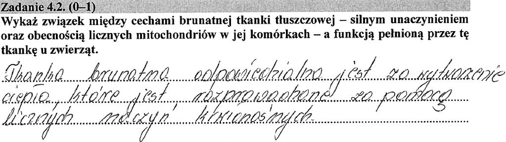 ), było niezrozumienie, że w komórce energia nie jest wytwarzana, a białka rozprzęgające w błonie wewnętrznej mitochondrium wykorzystują gradient protonów do wytwarzania ciepła, czyli przekształcenia