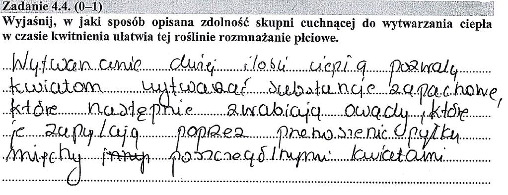 W zadaniu tym należało wyjaśnić, w jaki sposób zdolność skupni cuchnącej do wytwarzania ciepła w czasie kwitnienia umożliwia tej roślinie rozmnażanie płciowe.