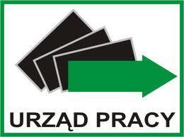 Termin realizacji zamówienia: do 15.12.2017 r. Informacje dodatkowe: - Zamawiający dostarczy teksty do broszur i ulotek oraz logo w formacie Microsoft Word w dniu podpisania Umowy.