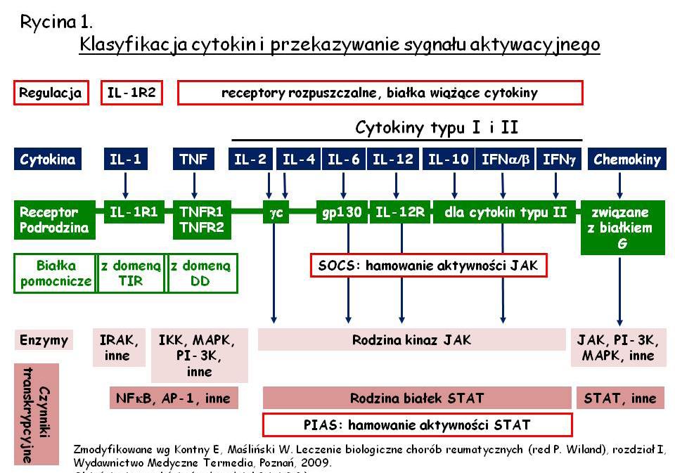 [ 18 ] Podstawy immunologii dla