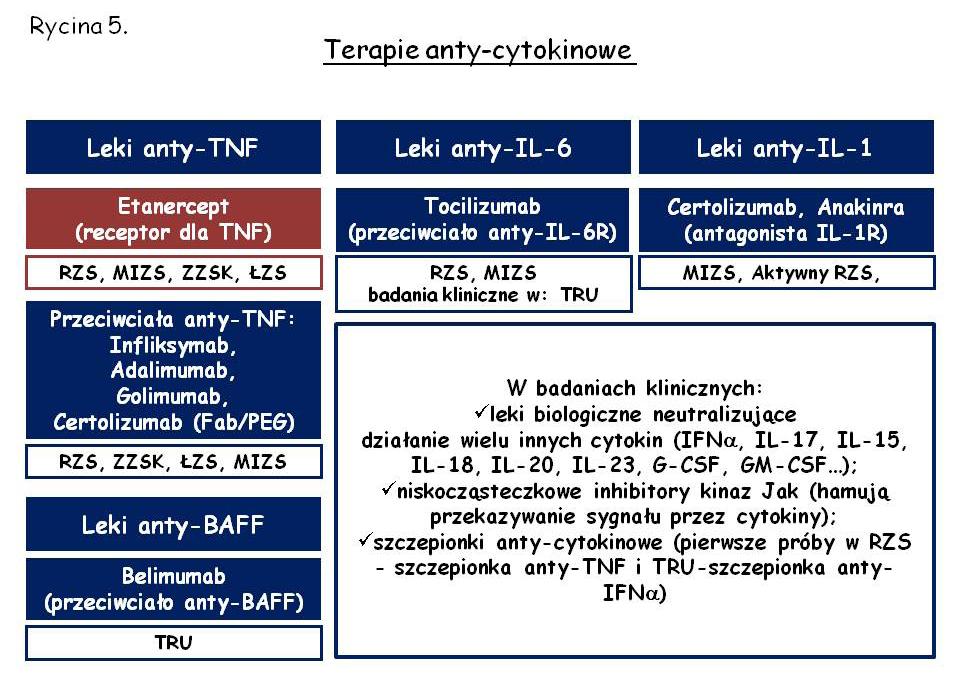 [ 28 ] Podstawy immunologii dla reumatologów ne są próby podawania chorym szczepionek (autologicznych lub rekombinowanych cytokin zmodyfikowanych lub połączonych z cząsteczką nośnika), które mają