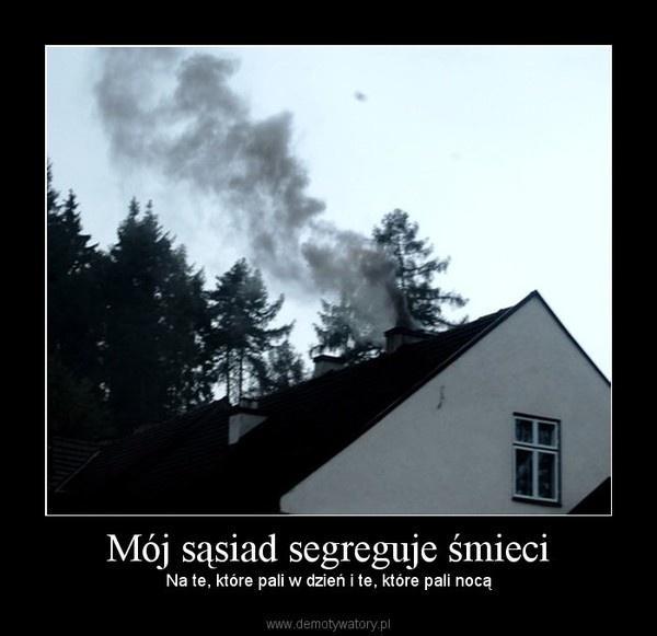 Segregacja