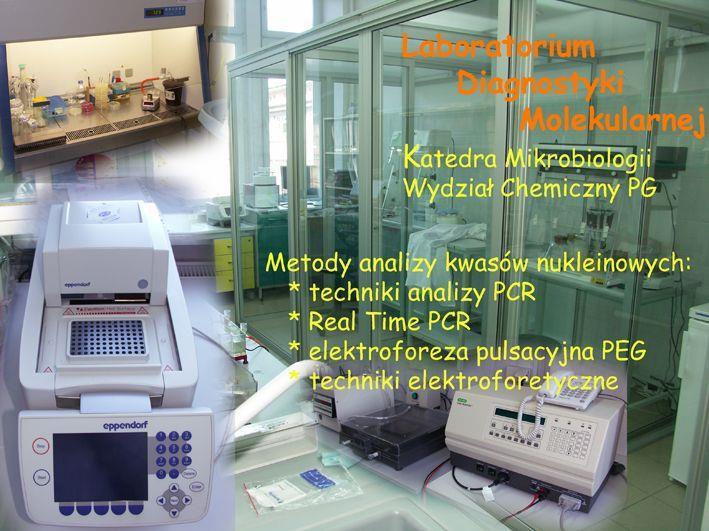 Katedra Biotechnologii Molekularnej i Mikrobiologii * tematyka badawcza * Dotyczy studiów II stopnia Zastosowanie współczesnych metod diagnostyki molekularnej w medycynie