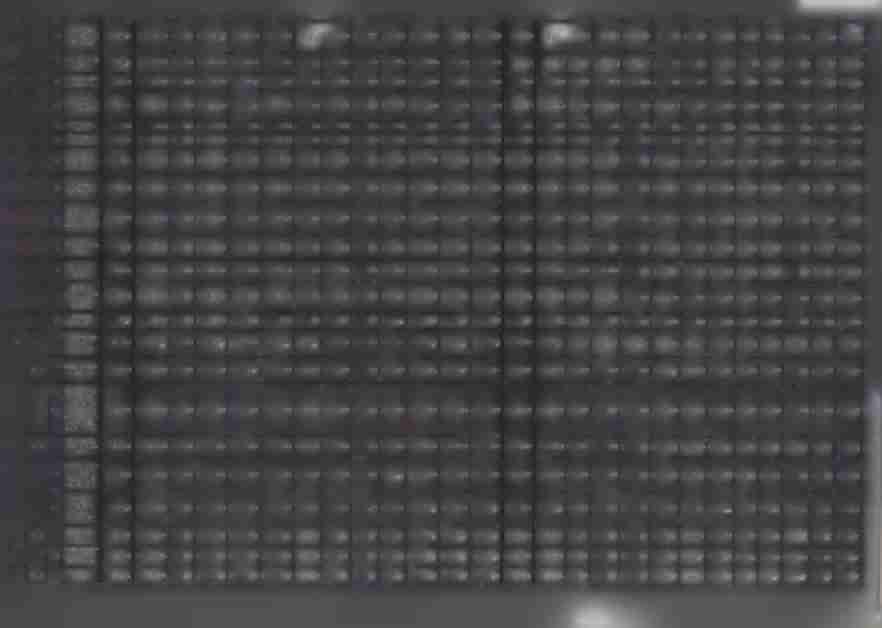 4110 ubezpieczenia 46 000,00 46 000,00 0,00 46 000,00 46 000,00 0,00 t 0,00 0,00 0,00 0,00 0,00 0,00 30 759,73 ę 0,0C 30 759,73 30 759,73 o.oc o.oc O.OC 0,0C o.oc o,oc o.