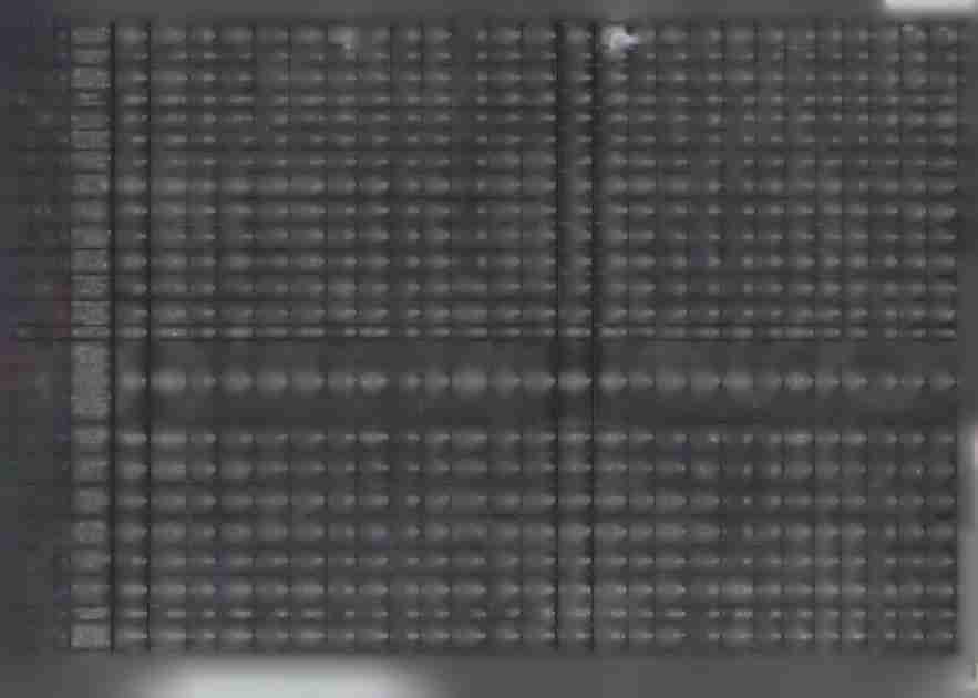 Zakup materiałów I 4i a m 8 644,00 8 644.00 0,00 8 644,00 0,00 8 644,00 / 0,00 0,00 0,00 0,00 0,00 8 644,44 0,00 8 644,44 0,00 8 644,44 0,00 0,00 0,00 0,00 o.