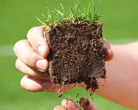 Celem niezmiennie jest poprawa jakości trawników i rozwój odmian o kombinacjach cech, które optymalnie spełniają wymogi i