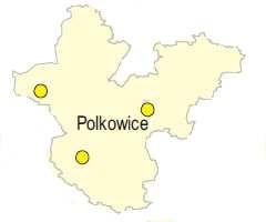 pola). Natomiast zawartości ołowiu, kadmu, niklu oraz arsenu, niezmiennie od kilku lat znajdują się na dopuszczalnym poziomie (zielone pola).